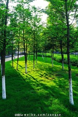 20120526-DSC_5596.jpg