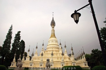 DSC_7433-1.jpg