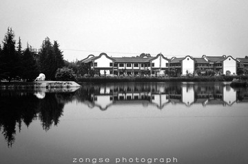 DSC_7443-1.jpg