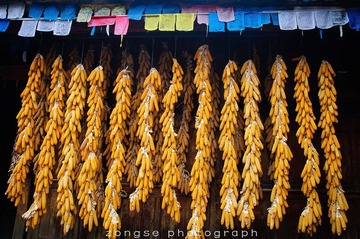 DSC_7385-3.jpg