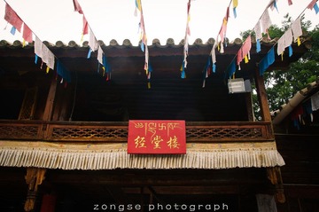 DSC_7390-4.jpg