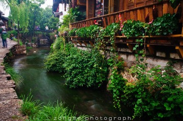 DSC_7524-1.jpg