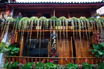 DSC_7531-2.jpg