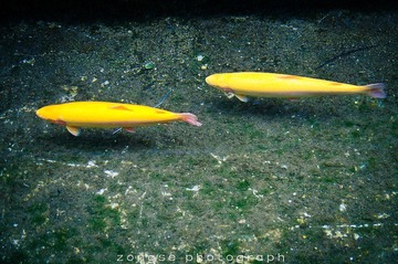 DSC_7690-2.jpg