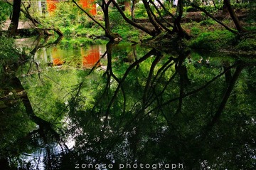 DSC_7730-1.jpg