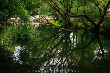 DSC_7733-2.jpg