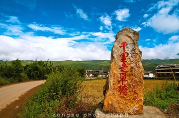 DSC_7588-1.jpg