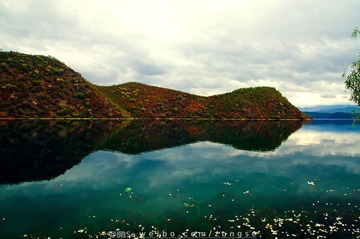 DSC_7877-3.jpg