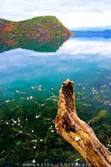 DSC_7879-4.jpg