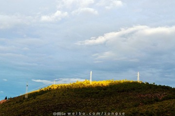 DSC_8116-1.jpg