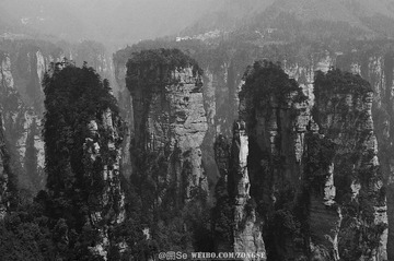 20120324-DSC_2319.jpg