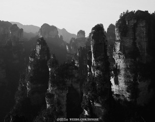 20120325-DSC_2413.jpg