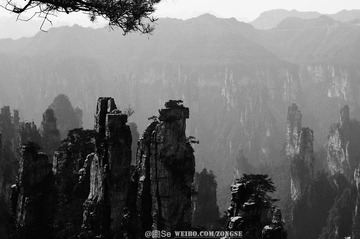 20120325-DSC_2521.jpg