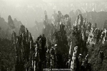 20120325-DSC_2522.jpg