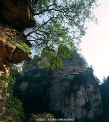 20120324-DSC_2226.jpg