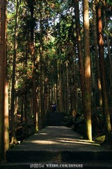 20120324-DSC_2233.jpg