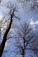 20120324-DSC_2320.jpg