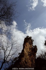 20120324-DSC_2332.jpg