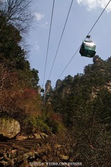 20120324-DSC_2339.jpg