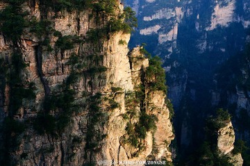 20120324-DSC_2391.jpg