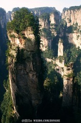 20120325-DSC_2422.jpg