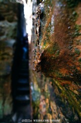 20120325-DSC_2482.jpg