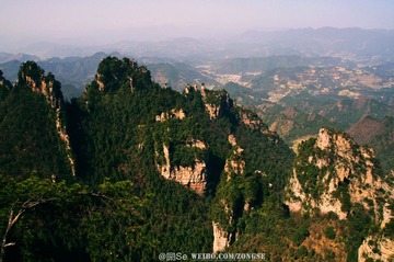 20120325-DSC_2495.jpg