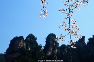20120325-DSC_2557.jpg