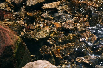 20120325-DSC_2568.jpg
