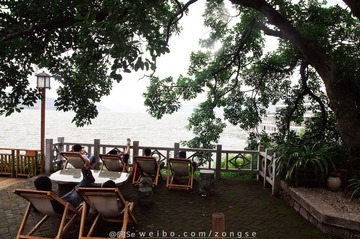 DSC_8232-5.jpg