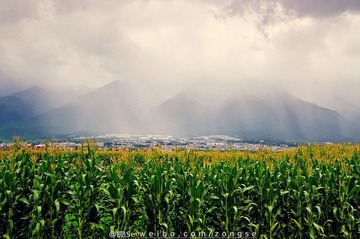 DSC_8280-1.jpg