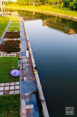 DSC_0036-5.jpg