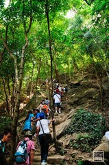 DSC_0062-3.jpg