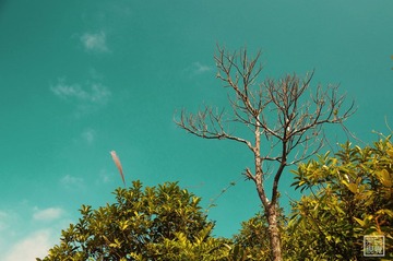 DSC_0068-10.jpg