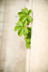 _DSC3132.jpg