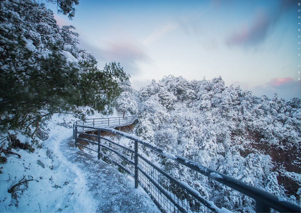 雪仙居