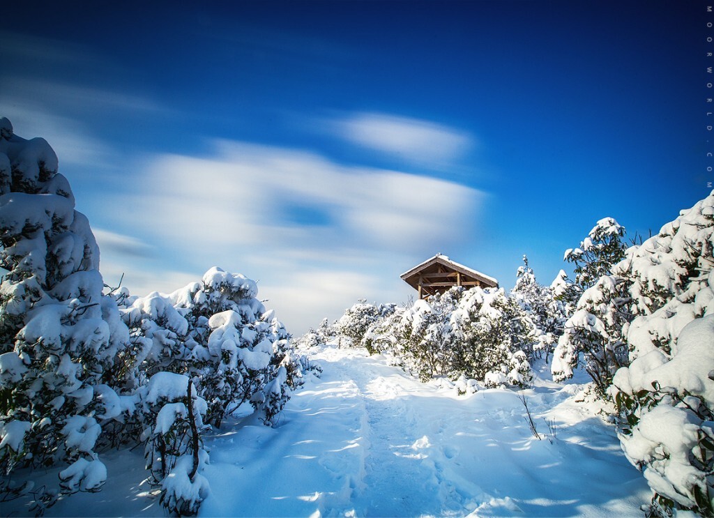 雪仙居