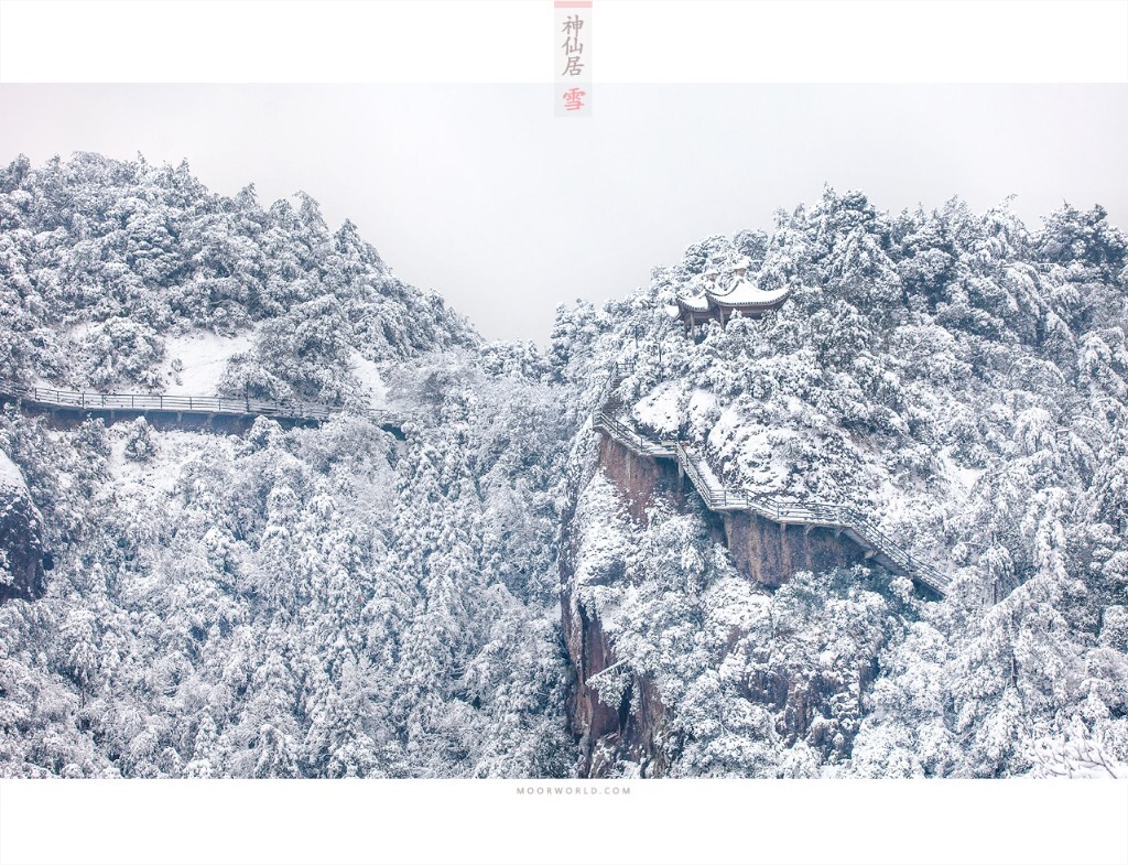 纯白世界