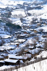 _DSC9520修_