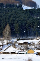 _DSC9538_