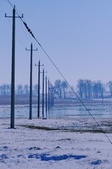 8BD9CC10-B51E-496D-8244-C199B9A108F6/L0/001