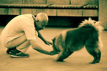 老人的亲密伴侣3.jpg