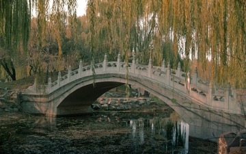 圆明园水色.jpg
