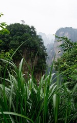 张家界j1.JPG