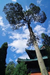 武当山--宫阙4.JPG