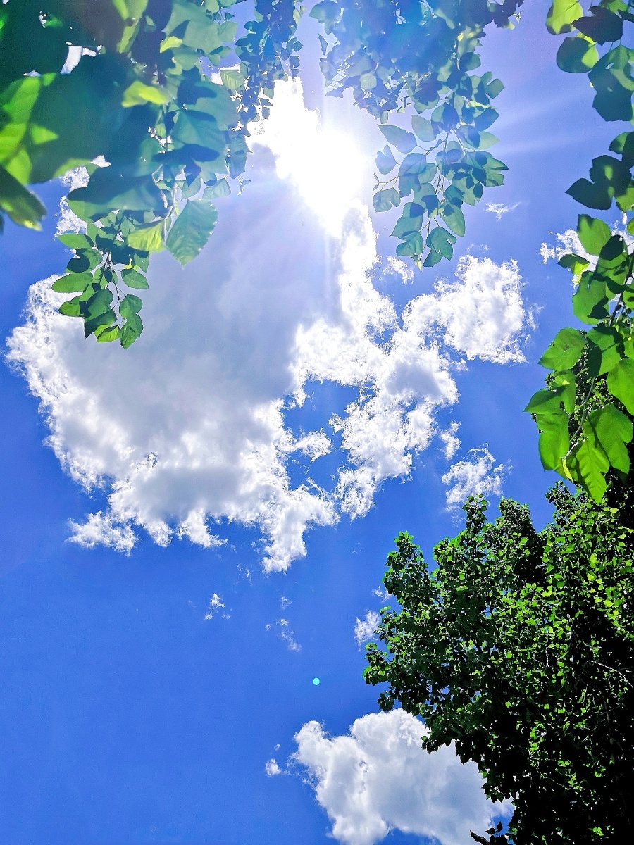 中午的阳光,泛着光,浸着暖.