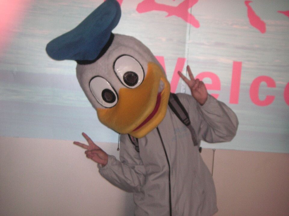 唐老鸭<br />

