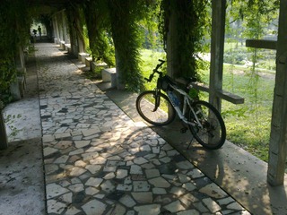 201107292104.jpg