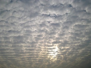 201112252630.jpg