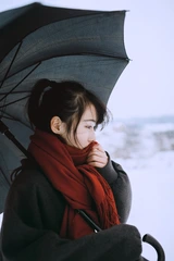 我居住的城市开始下雪 你那里呢